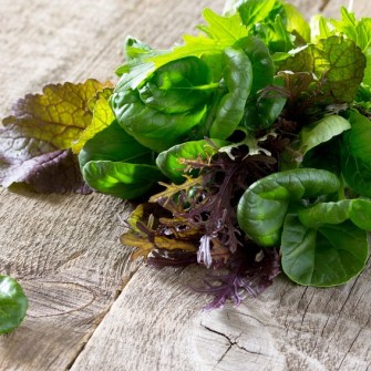 Spring PCOS Diet